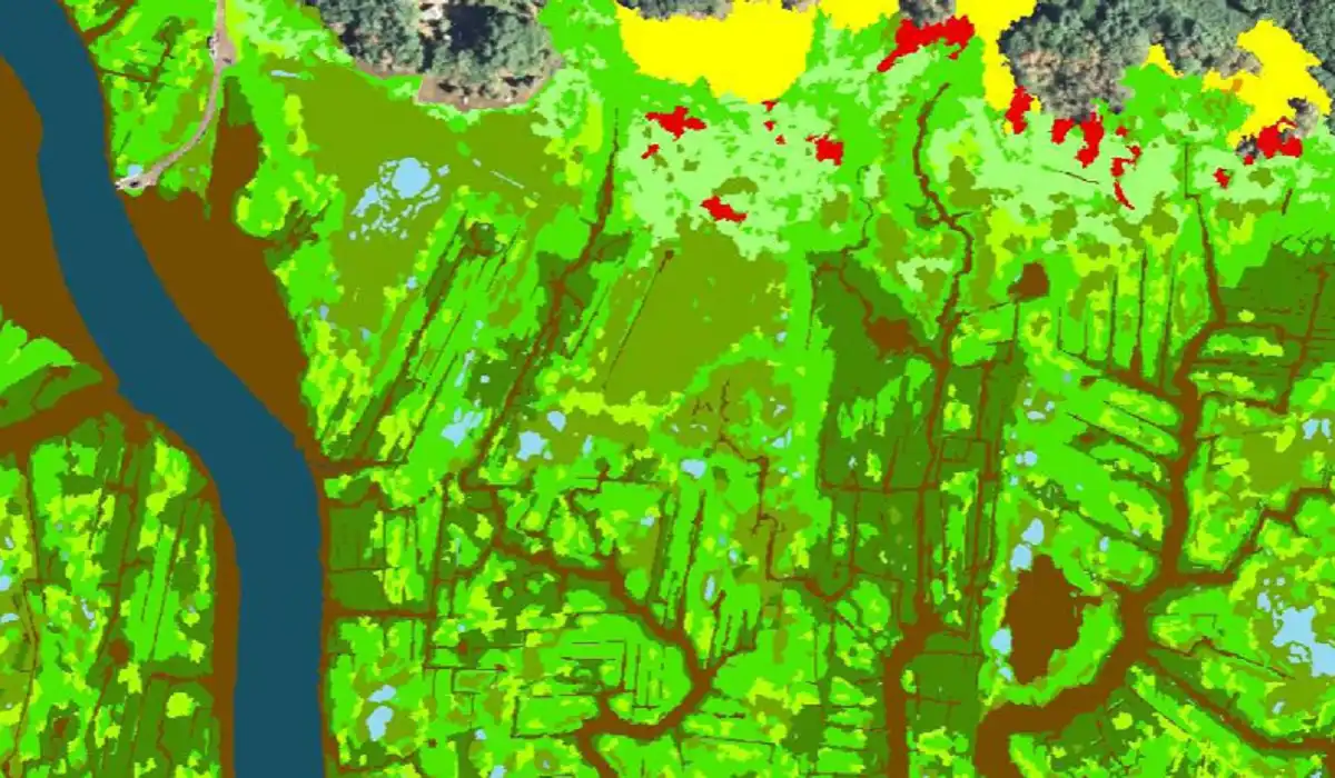 Artificial intelligence coastal habitat mapping for marine ecosystem resilience assessment