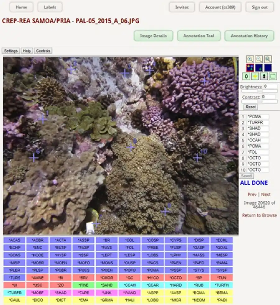 Artificial intelligence coral reef monitoring using CoralNet image analysis