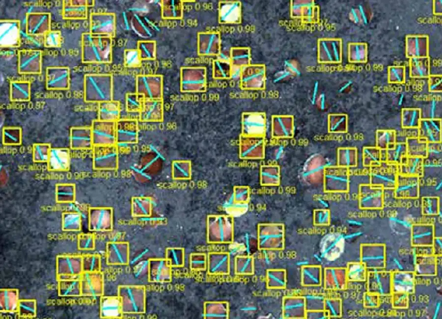 Deep learning underwater marine species detection using artificial intelligence