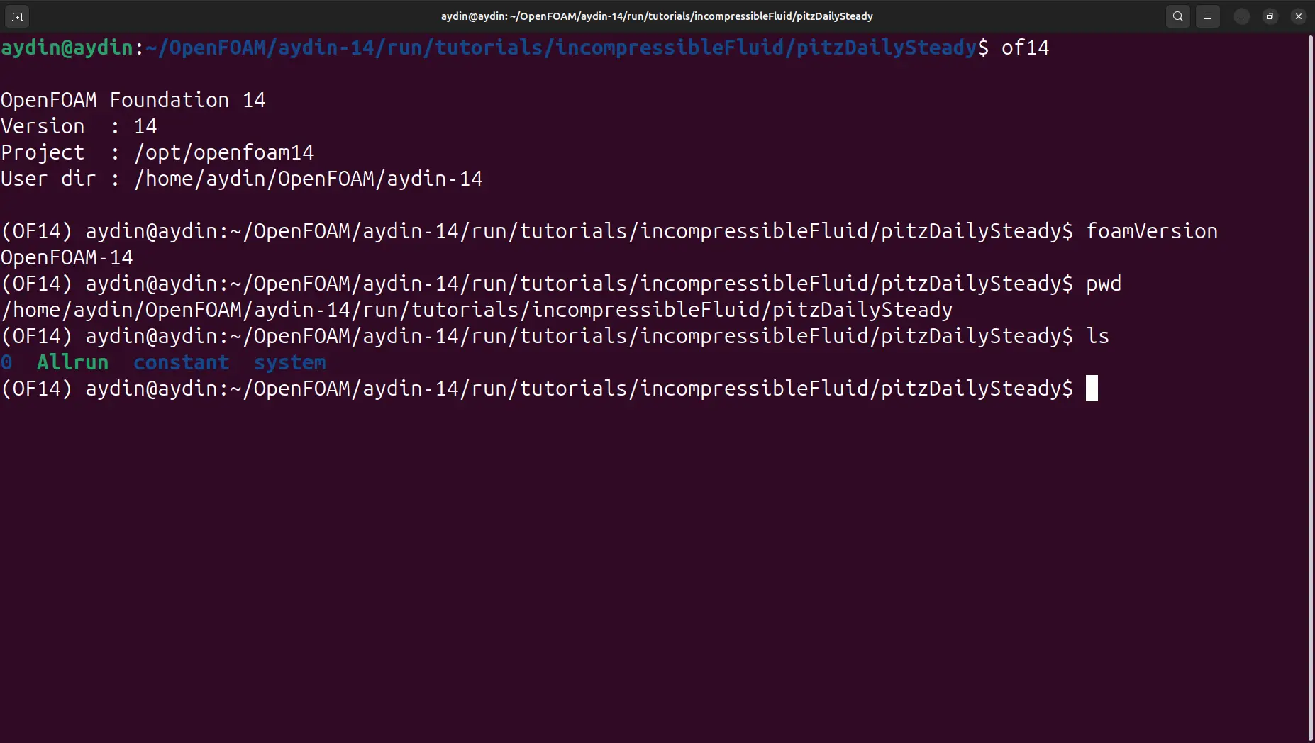 Ubuntu terminal showing OpenFOAM 14 activated inside the pitzDailySteady tutorial case