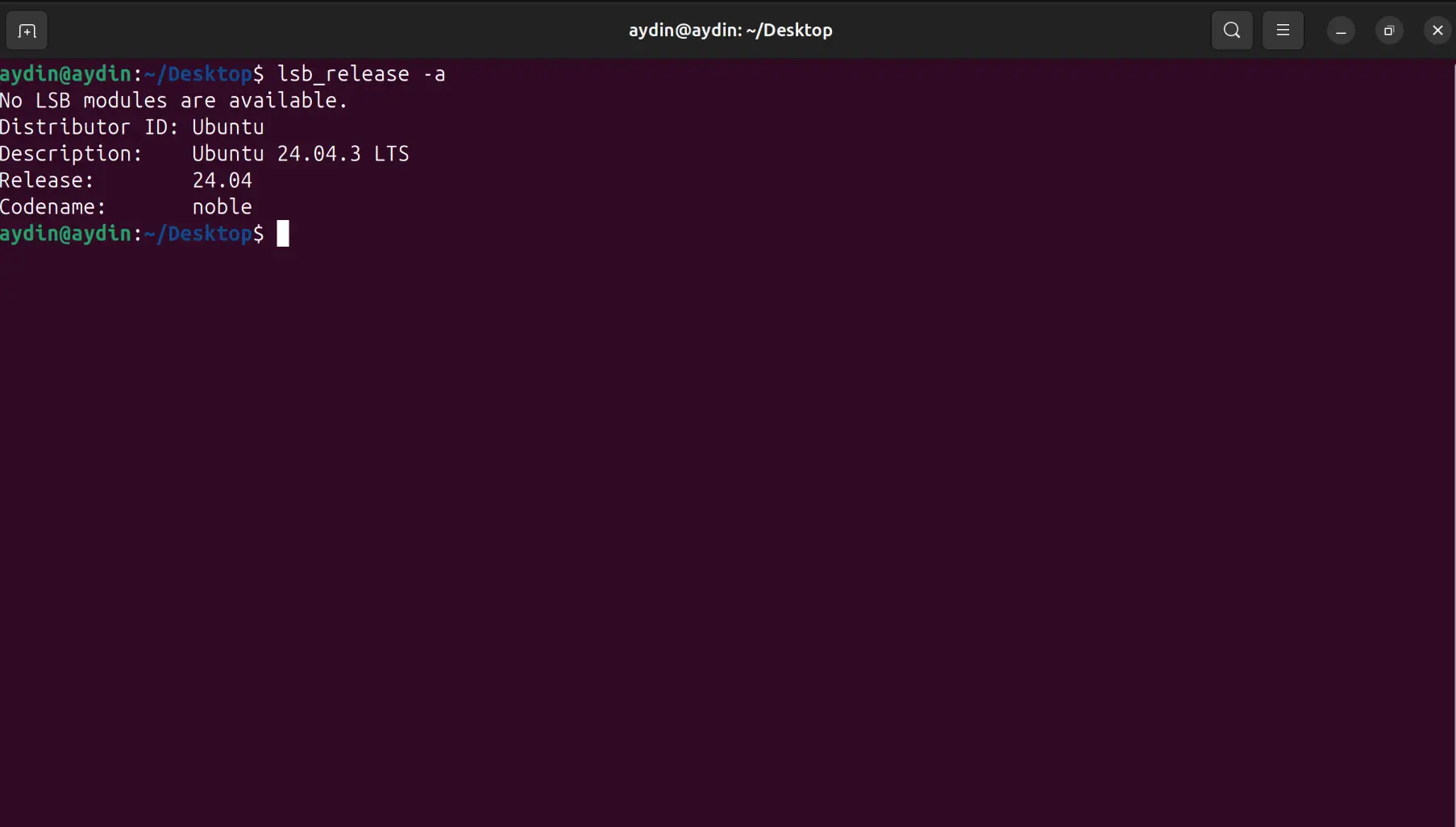 Ubuntu terminal showing Ubuntu 24.04.3 LTS Noble before installing OpenFOAM